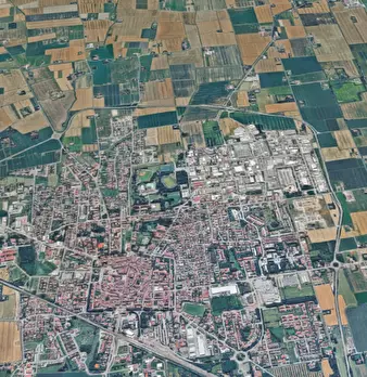 Foto annuncio 11