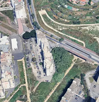 Foto annuncio 7