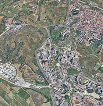 Foto annuncio 12