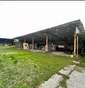 Foto annuncio 8