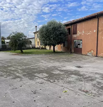 Foto annuncio 12