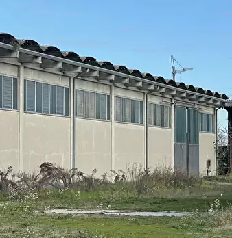 Foto annuncio 15