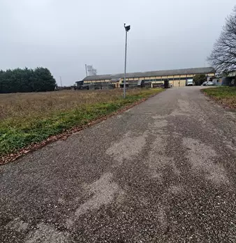 Foto annuncio 3