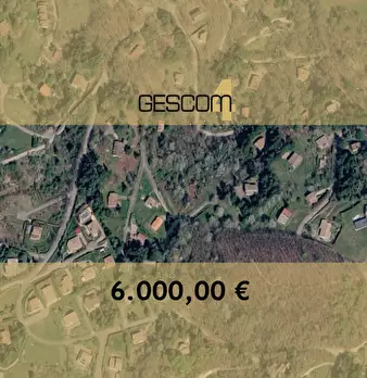 Foto annuncio 1
