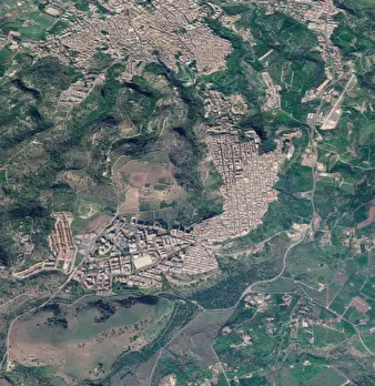 Foto annuncio 10