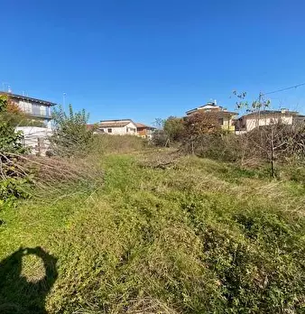 Foto annuncio 6