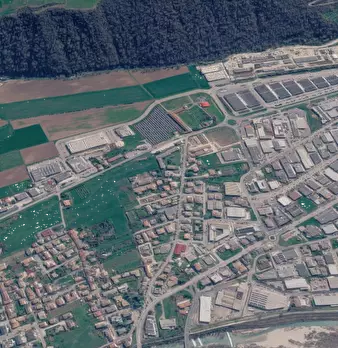 Foto annuncio 10