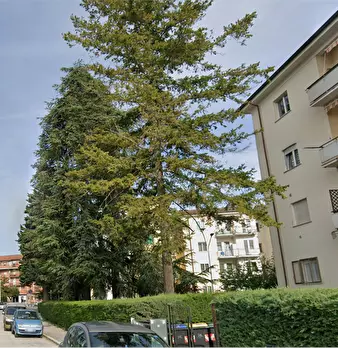 Foto annuncio 5