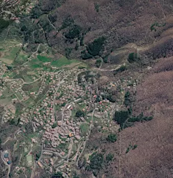 Foto annuncio 10