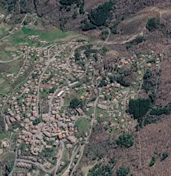 Foto annuncio 8