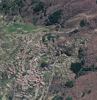 Foto annuncio 9