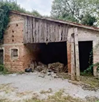 Foto annuncio 4