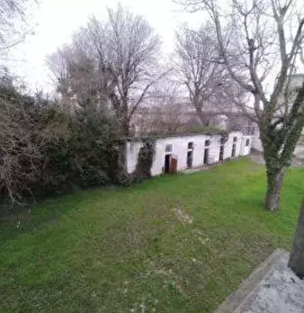 Foto annuncio 12