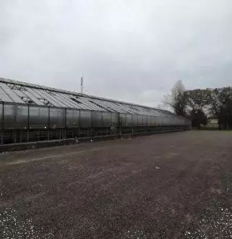 Foto annuncio 31