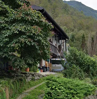 Foto annuncio 5