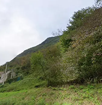 Foto annuncio 18