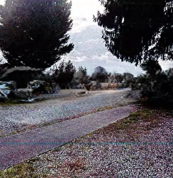 Foto annuncio 28