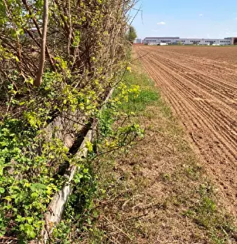 Foto annuncio 2