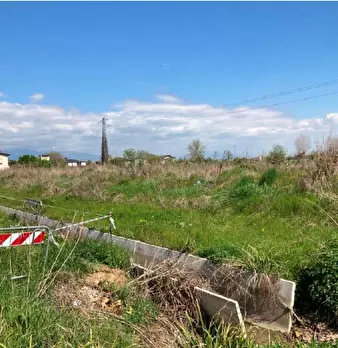 Foto annuncio 8