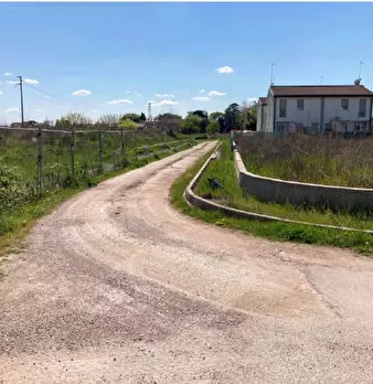 Foto annuncio 11