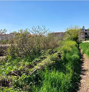 Foto annuncio 17