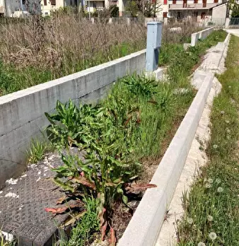 Foto annuncio 19