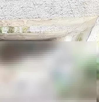 Foto annuncio 12