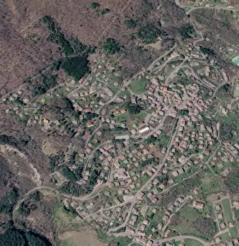 Foto annuncio 8