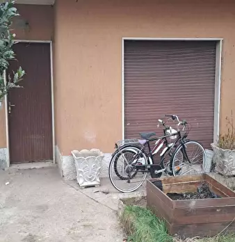 Foto annuncio 5