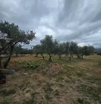 Foto annuncio 6
