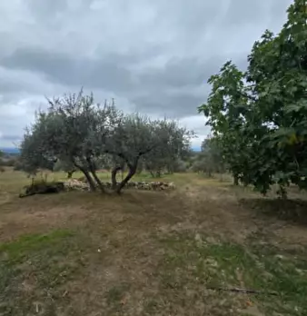 Foto annuncio 7