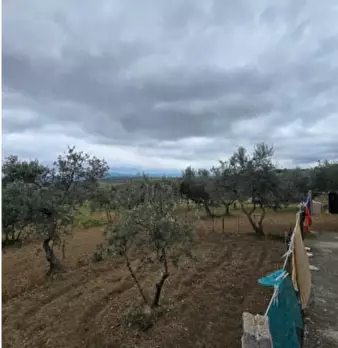 Foto annuncio 8