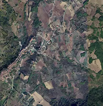 Foto annuncio 9