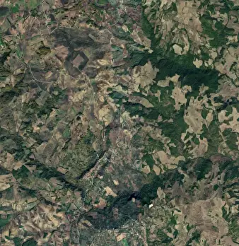 Foto annuncio 11