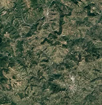 Foto annuncio 16