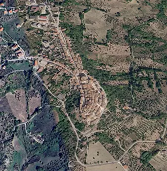 Foto annuncio 7