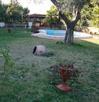 Foto annuncio 5