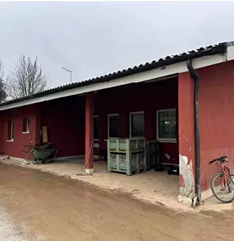 Foto annuncio 10