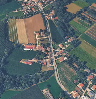 Foto annuncio 18