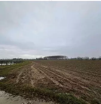 Foto annuncio 7