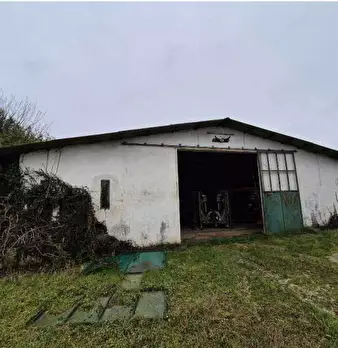 Foto annuncio 2