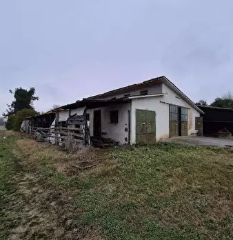 Foto annuncio 5