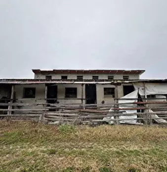 Foto annuncio 6