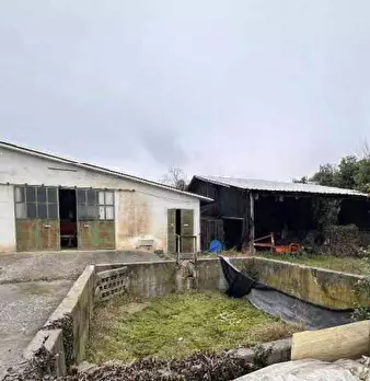 Foto annuncio 7