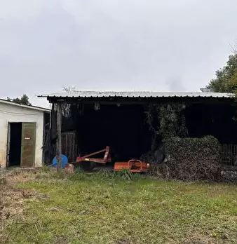 Foto annuncio 8
