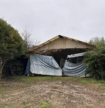 Foto annuncio 10