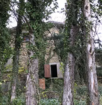Foto annuncio 4