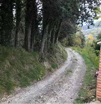 Foto annuncio 5