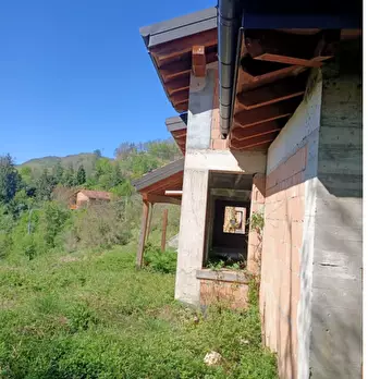 Foto annuncio 7