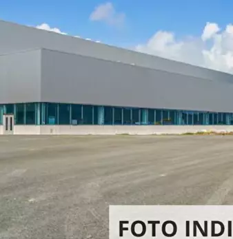 Foto annuncio 5